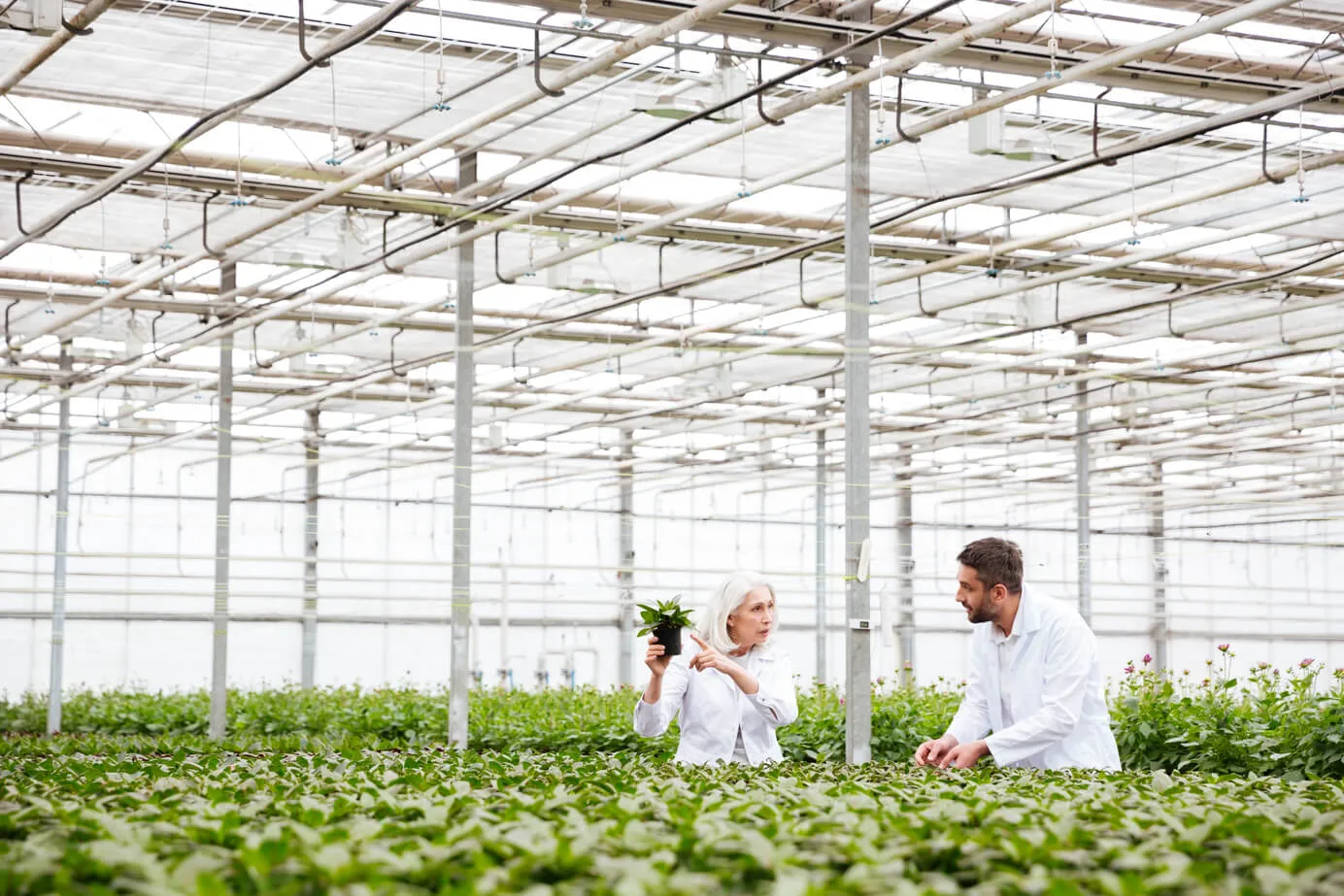 hub for vertical-farming events, investment and pilot projects